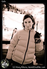 Colie