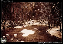 Winter in Yosemite
