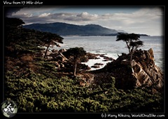View from 17 Mile drive