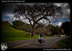 Ivana on the Foxen Canyon road
