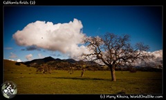 California fields (2)