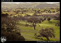 California fields (3)