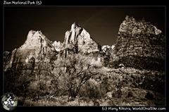 Zion National Park (5)