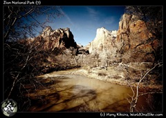 Zion National Park (7)