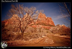 Zion National Park (8)