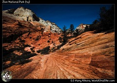 Zion National Park (14)