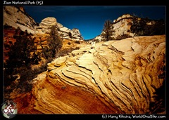 Zion National Park (15)