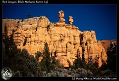 Red Canyon, Dixie National Forest (4)