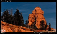 Bryce Canyon (4)
