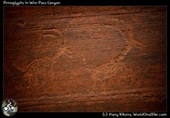 Petroglyphs in Wire Pass Canyon