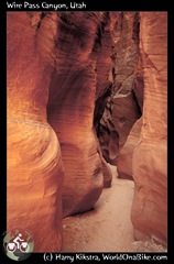 Wire Pass Canyon, Utah
