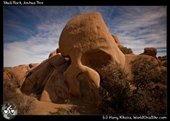 Skull Rock, Joshua Tree