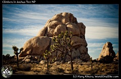 Climbers in Joshua Tree NP