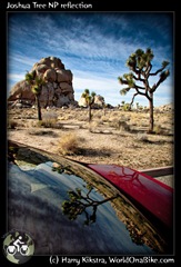 Joshua Tree NP reflection