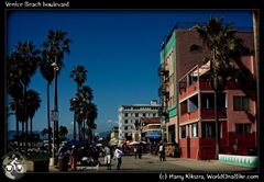Venice Beach boulevard