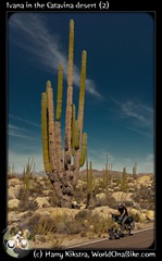 Ivana in the Catavina desert (2)
