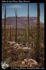 Valle de los Sirios, Baja, Mexico