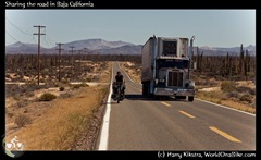 Sharing the road in Baja California