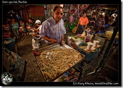 Corn special, Puebla