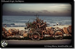 Driftwood tricyle, Isla Mujeres