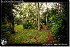 Parrot's Nest, San Ignacio, Belize