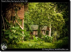Parrot's Nest, San Ignacio, Belize (3)