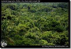 Lamanai maya ruins, Belize, view from main temple (3)
