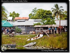 Mennonites near Orange Walk, Belize