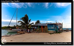 Lazy Lizard, Caye Caulker