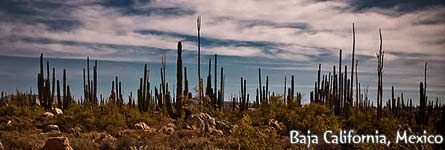 Harry & Ivana's bicycle trip Across the Americas