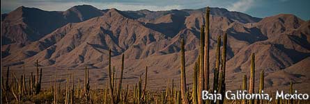 Harry & Ivana's bicycle trip Across the Americas