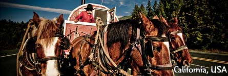 Harry & Ivana's bicycle trip Across the Americas